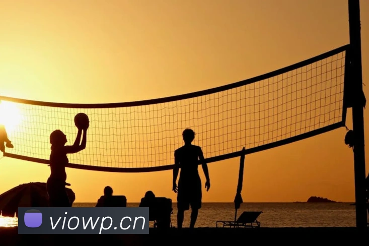 乐鱼体育APP登录APP 封面图